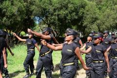 pearson-perkins-security-training